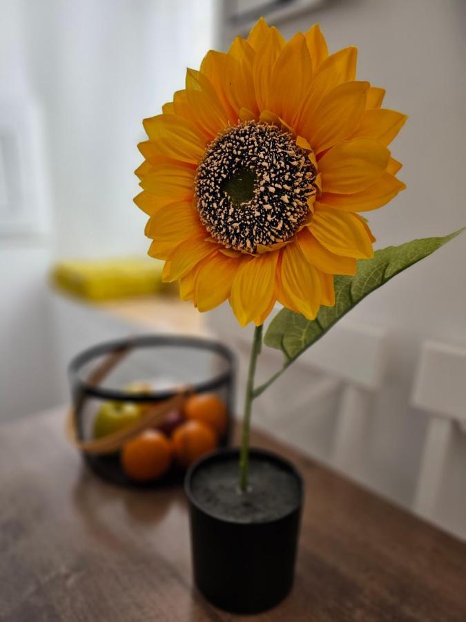 Casa Iulia Otel Haro Dış mekan fotoğraf